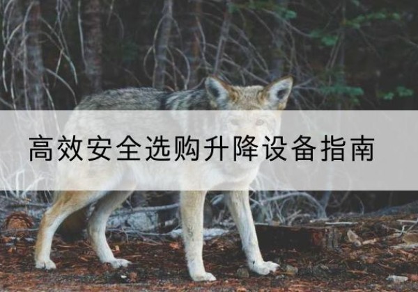 泰顺升降货梯厂家推荐-*安全选购升降设备指南