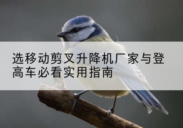 泰顺电动升降机厂家-选移动剪叉升降机厂家与登高车必看实用指南