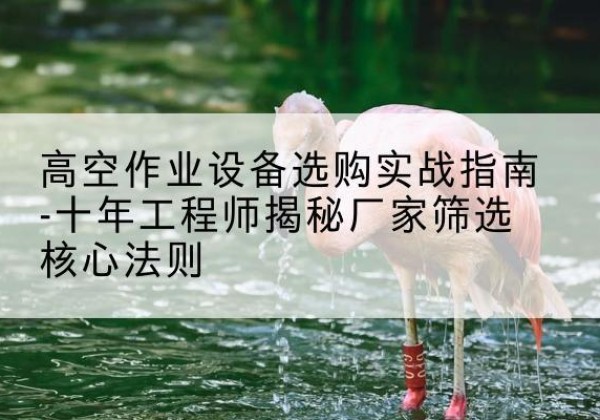 泰顺剪叉式升降机厂家-高空作业设备选购实战指南-十年工程师揭秘厂家筛选核心法则
